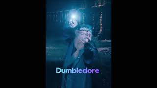 Albus Dumbledore vs Gellert Grindelwald [upl. by Hayes859]