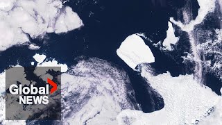 Worlds largest iceberg on the move from Antarctica [upl. by Eivlys]