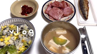 Vlog 요리먹방ㅣ내조하기 남편과 역할바꾸기일주일아침요리🍳 두부된장국엔초비김밥소고기미역국베이컨계란볶음밥 엔즈본 악마크림후기 [upl. by Eletnahc561]