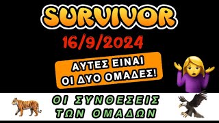 SURVIVOR SPOILER 1692024 ΑΥΤΕΣ ΕΙΝΑΙ ΟΙ ΔΥΟ ΟΜΑΔΕΣ [upl. by Fedirko]