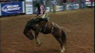 Saddle Bronc Riding  HRS Rodeo [upl. by Allenad]