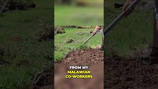 Effortless Gardening Mastering Tree and Grass Removal [upl. by Sirhc]