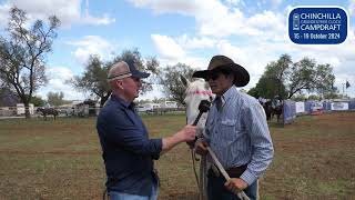 CC with Cameron Webster at Chinchilla Campdraft [upl. by Akenet]