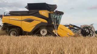 New Holland CR11 combine 50ft Macdon header unloading on the move Maldon Essex [upl. by Nolyarg716]