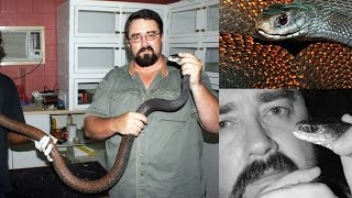 Snake Bites in Papua New Guinea  David Williams [upl. by Aleihs847]