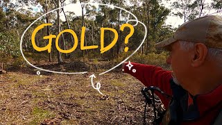 Gold prospecting in Muckleford Victoria on a raked and cleared patch with the Minelab GPZ7000 [upl. by Summers]