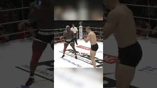 Brutal MMA Fight Kevin Randleman VS Cro Cop crocop kevinrandleman mma pridefc ufcfighter ufc [upl. by Norris]