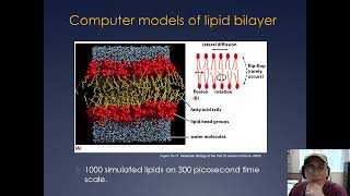 Molecular Cell Biology Lecture 16 Part A Membranes Secretory Pathway and Transport [upl. by Ck602]