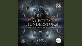 Cambodian Thunderstorm Cardamom Mountains 360° Headset Experience [upl. by Kcirdehs]