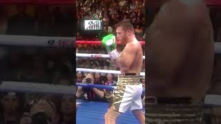 Canelo Alvarez Head Movements boxing edit survival [upl. by Grigson]