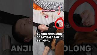 Balasan Untuk Anjing Penolong [upl. by Aselehc913]