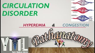 Circulatory disorder  basic part  Hyperemia amp Congestion [upl. by Malia]