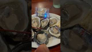 Best OYSTER in FL USA oysters [upl. by Dyol]