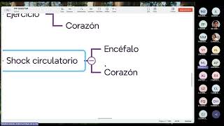 FISIOLOGIA FISIOPATOLOGIA  FASE 3  TEORIA 03  01 [upl. by Yejus]