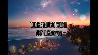 I Like You so much Youll know it  Ysabelle Cuevas lyrics [upl. by Julie]