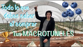 Cuánto cuesta mi MACROTUNEL 🤑🤑 [upl. by Archibaldo977]