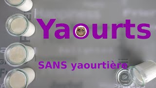 Faire des yaourts maison sans yaourtière [upl. by Erasmus]