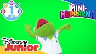 MiniMupparna  Musik Yay 🎉 Disney Junior Sverige [upl. by Teiluj]