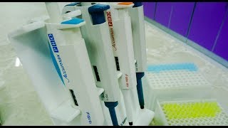 How to use pipette correctly – a short stepbystep introduction into proper pipetting [upl. by Topping]