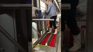 Factory staff cleaning and disinfection machine 工廠工作人員清洗消毒機 [upl. by Merriman]