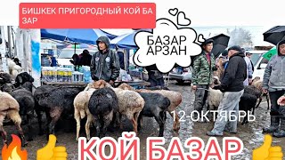 КОЙ БАЗАР ПРИГОРОДНЫЙ МАЛ БАЗАР ЧАРБА КОЙЛОР БАРЫН ТАРТТЫК 121024 [upl. by Norej313]