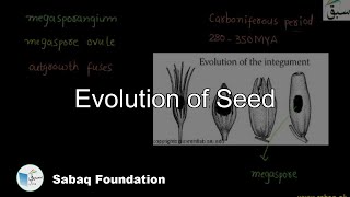 Evolution of Seed Biology Lecture  Sabaqpk [upl. by Sane]