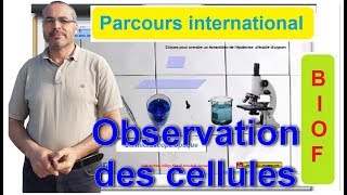 la découverte d’un milieu naturel observation des cellules [upl. by Pollerd]