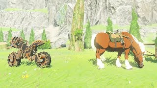 Master Cycle Zero Vs Epona Whos Faster Zelda Breath of the Wild [upl. by Yla196]