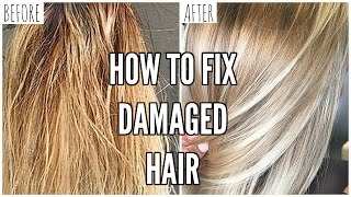 How To Fix EXTREMELY Damaged Hair At Home [upl. by Gnaoh]