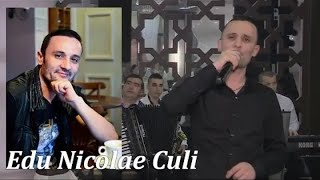 ASCULTARE COLAJ SPRIT MUZICA IONEL PREDA NICA HORE SARBE MUZICA LAUTAREASCA DE PETRECERE [upl. by Buote]