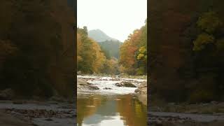 Autumn river sounds autumn river [upl. by Bellanca]