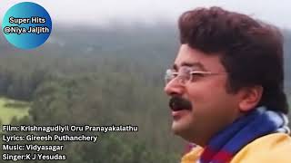 Pinneyum Pinneyum Aro Kinavinte  Krishnagudiyil Oru Pranayakalathu  Super HitsNiyaJaljith [upl. by Navets]