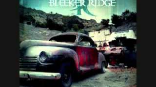 Bleeker Ridge  You Wouldve Like It LYRICS [upl. by Imeka]