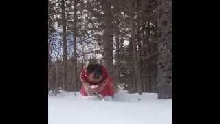 Dachshund is Happy in the Snow VineInstagram video [upl. by Vladamir]