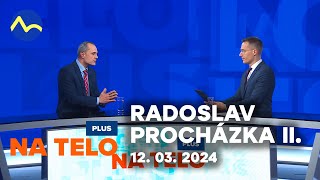 Radoslav Procházka II  ústavný právnik  Na telo PLUS [upl. by Kriss243]