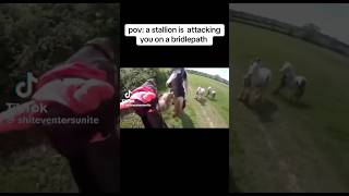 stallion attacking mare on a hack 😱🐴 equestrain shortvideos youtube viral [upl. by Atiuqahc208]