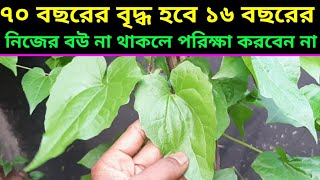 হীরার থেকেও মূল্যবান এই গাছhealth benefits of Pakistani lota [upl. by Eggett657]