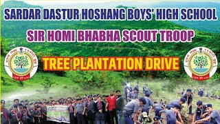 Tree Plantation 2018 Sir Homi Bhabha Scout Troop Pune [upl. by Swane]