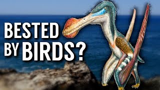 Were Pterosaurs Outcompeted by Birds [upl. by Stubstad]