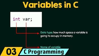 Introduction to Variables [upl. by Johna687]