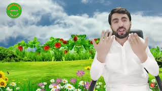 Khosho giru xagenen awa kosaw bagatamm  khowar Old song  imtiaz asir new song 2022 [upl. by Arbua]