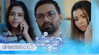 Jaanu  Episode 447  20241111  ITN [upl. by Standish]