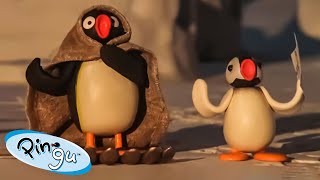 The Great Outdoors with Pingu 🐧  Pingu  Official Channel  Cartoons For Kids [upl. by Aiouqes199]