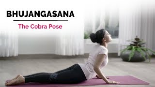 Bhujangasana  Cobra Yoga Pose  Steps  Benefits  Yogic Fitness [upl. by Alard]