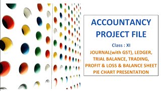 Accountancy Project File Class 11  Journal Ledger Trial Balance Profit amp Loss Balance Sheet CBSE [upl. by Noram]