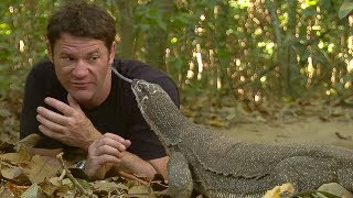 Monitor Lizard LICKS Steves Eye  Deadly 60  BBC Earth [upl. by Daphne]