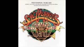 Sgt Peppers Lonely Hearts Club Band Soundtrack 1976 [upl. by Philemon]