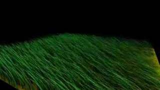 Grass Animation in Renderman [upl. by Rezal]