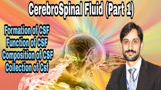 Cerebrospinal fluid  Part1 FormationFunctionComposition amp Collection [upl. by Reedy]