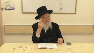 Pesach Haggadah PT 5  Maggid Rabbi Dovid Gottleib Jewish Holidays [upl. by Kcolttam192]